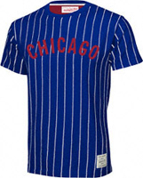 Chicago Cubs Royal Mitchell & Ness Pinstripe Jersey Shirt