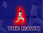 The Hawk Wallpaper