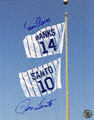 Ernie Banks & Ron Santo Chicago Cubs - Retired Number Flag - 8x10 Autographed Photo