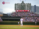 Derrek Lee Wallpaper